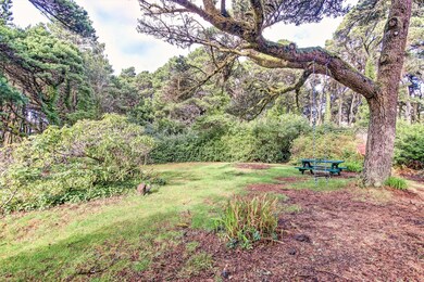 Backyard a