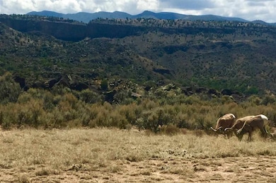 Tract A 1C Calle Fileberto, Taos, NM 87529 - photo 3