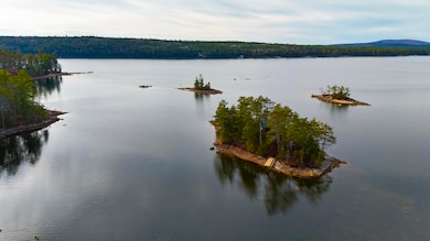 422 Bonney Brook Rd, Grand Lake Stream Plantation, ME 04637 - photo 4