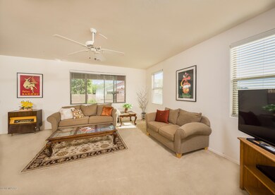 Large, Light-filled Living Room
