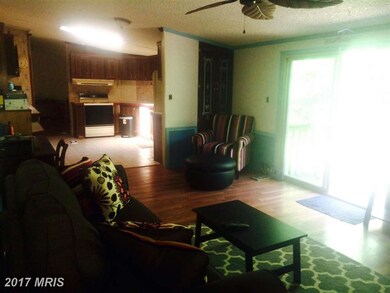 12233 Drogheda Mountain Rd, Rixeyville, VA 22737 - photo 2