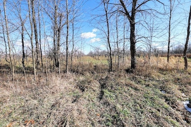 Vl 32nd Ave, Covert, MI 49043 - photo 2