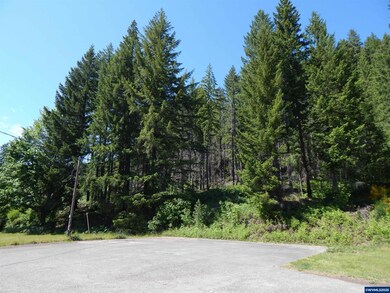 0 N Santiam Hwy unit 832277, Idanha, OR 97350 - photo 5