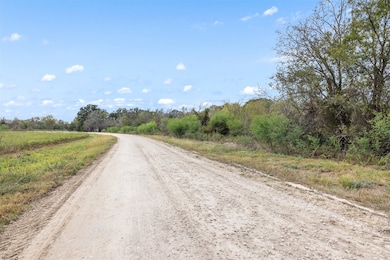 Close-up view of the dirt/gravel road, curving through the property's frontage, bordered by natural brush and trees on both sides.