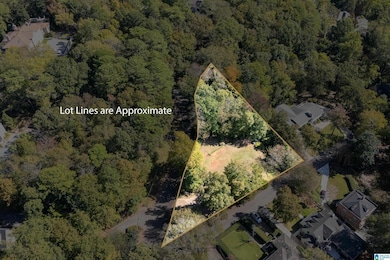 2000 Warwick Ct, Birmingham, AL 35209 - photo 3