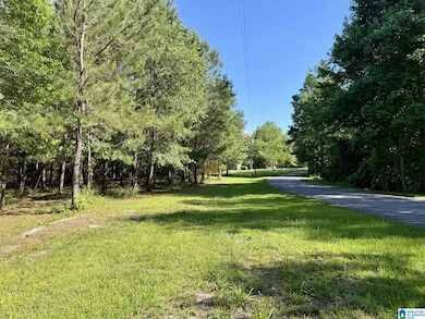 0 Wright Way Dr unit 21423149, Wedowee, AL 36278 - photo 3