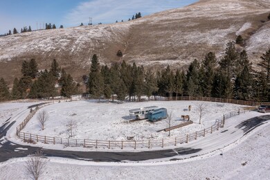 horse area