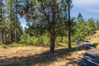 1712-Lot 304 The Point, Meadow Vista, CA 95722 - photo 2