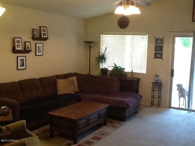 photo2