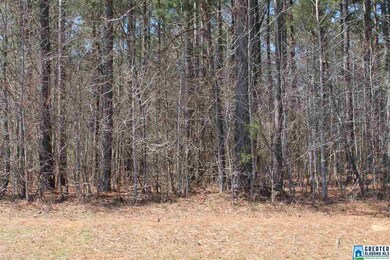 00 Clarendon Rd unit lot 65, Cullman, AL 35057 - photo 3