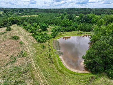 dji_fly_20250528_132452_0003_17485189592
