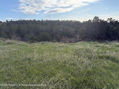 Colorado Building Lot Collbran Colo 4