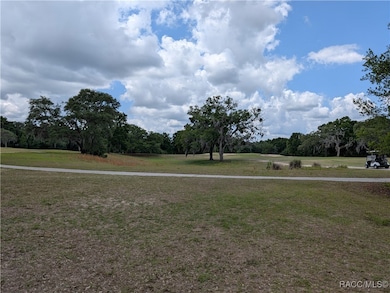 8246 N Golfview Dr, Citrus Springs, FL 34434 - photo 4