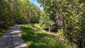 2 Arrow Trail, Waleska, GA 30183 - photo 4