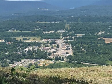 0 Hovering Hawk Dr unit 1332699, Jasper, TN 37347 - photo 4