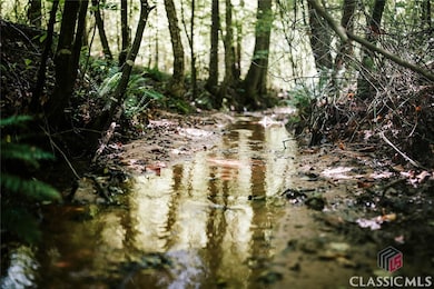 0 Griffin Rd unit CM1027810, Royston, GA 30662 - photo 4