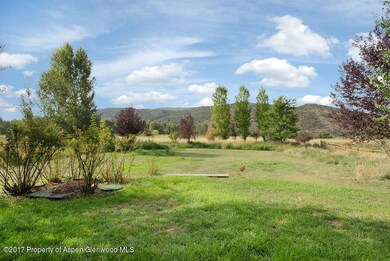 259 Sunflower Loop Carbondale-small-007-