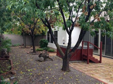 Rear Yard (5)