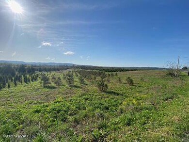 0 Lime Bluff Rd unit 3 WB-96792, Muncy, PA 17756 - photo 3