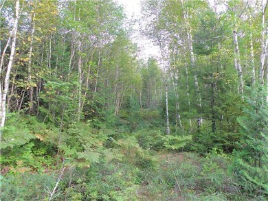 Land/Lot. Interior