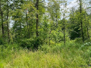 #1 Oakridge Springs unit 1, Johnstown, PA 15904 - photo 4