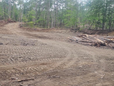 6.79 A End McAllister Rd, Buckfield, ME 04220 - photo 2