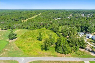 Drone / aerial view of a forest