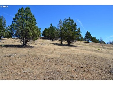 0 Davis Creek unit 21278766, John Day, OR 97845 - photo 6