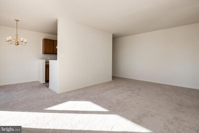 6441 Richmond Hwy unit 302, Alexandria, VA 22306 - photo 6