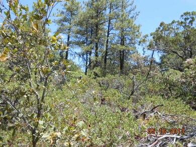 102 Sundown Ln, Pine, AZ 85544 - photo 6