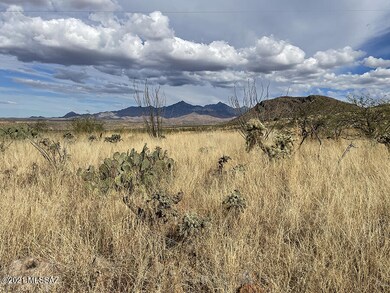 inside northeast mtn view