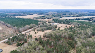 0 Orchard Rd, Williston, SC 29853 - photo 6