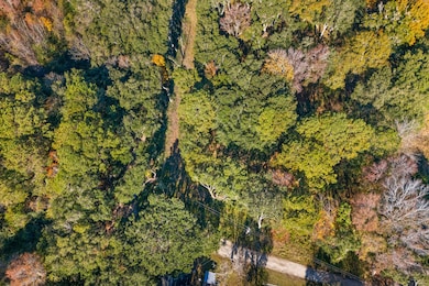 1872 Arsburn Rd, Charleston, SC 29412 - photo 3