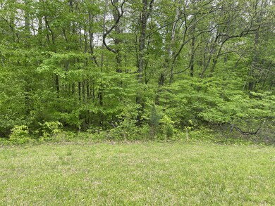 54 Scafidi Ln, Jamestown, KY 42629 - photo 3