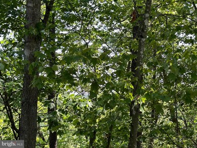 22 E Walls Ridge Rd, Basye, VA 22810 - photo 2