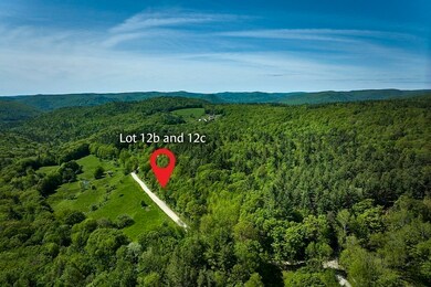 12 Maxwell Rd, Charlemont, MA 01339 - photo 5