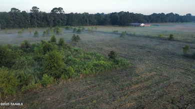1050 Jolene Rd, Basile, LA 70515 - photo 3