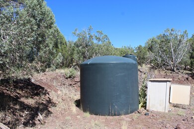 690 W Mount Royal, Ash Fork, AZ 86320 - photo 3