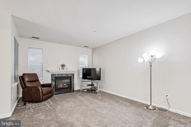 5001 Willow Branch Way unit 104, Owings Mills, MD 21117 - photo 4