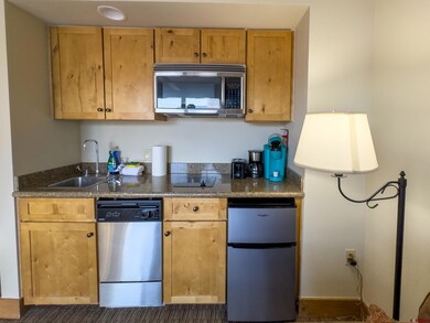 6 Emmons Rd unit 461, Crested Butte, CO 81225 - photo 7