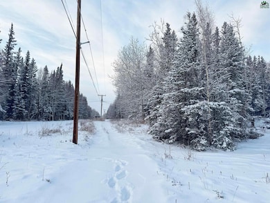 L11 B13 Kimball St, Delta Junction, AK 99737 - photo 6