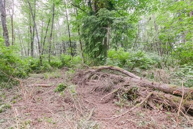 0 317th St NW, Stanwood, WA 98292 - photo 5