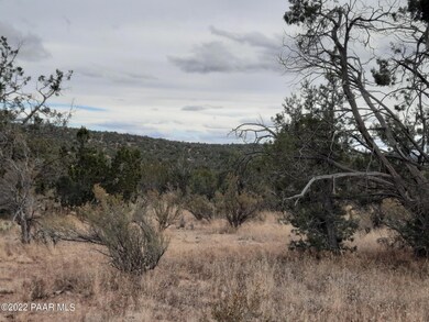 Lot 1396 Juniper Way, Seligman, AZ 86337 - photo 6
