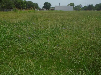 1821 Louise St, Rosenberg, TX 77471 - photo 6