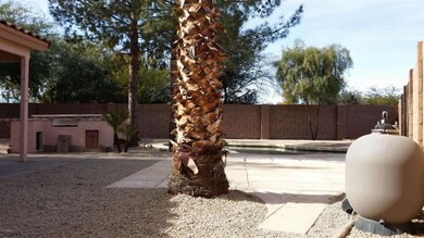 Seton Ave, Back Yard 2
