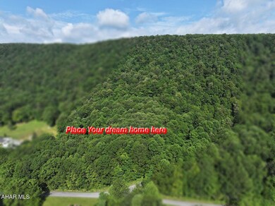 752 Mountain View Rd, Schellsburg, PA 15559 - photo 3