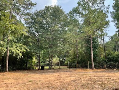 26023 Rolling Forest Ln, Hockley, TX 77447 - photo 6