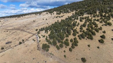 0 Private Rd unit 7747093, Cripple Creek, CO 80813 - photo 2