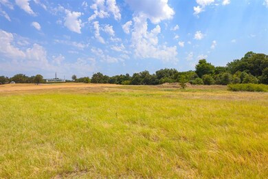 Lot 14 Aslan Rd, Poolville, TX 76487 - photo 5