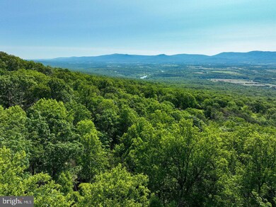 0 Hidden Rd unit VAPA2004990, Luray, VA 22835 - photo 6